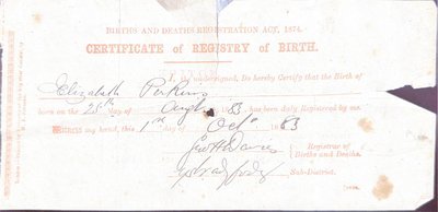 Birth of Elizabeth Perkins
